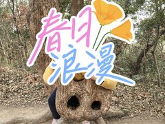 -上海佘山国家森林公园天马山园