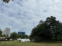 -红梅公园