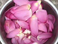 -铁道游击队纪念馆