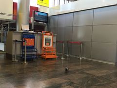 -谢列梅捷沃国际机场