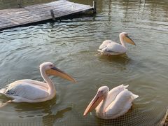-宁波杭州湾国家湿地公园