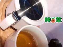 古树红茶-gaga(深圳福田星河COCO Park店)
