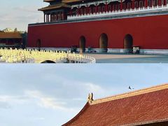 -故宫博物院(故宫)