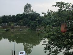 -溪悦渔庄(九龙湖店)