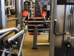 -健身专家Wellness Experts