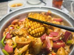 -禄婶鸡煲·打边炉