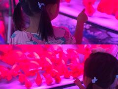 -中环花鸟鱼虫市场