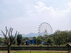 -安徽大青山野生动物世界