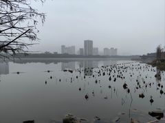 -飞来湖湿地公园