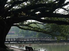 -江心屿景区