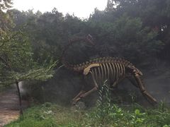 -佛冈森波拉度假区