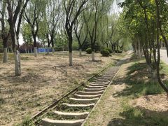 -永定河休闲森林公园