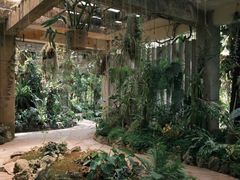 -中国科学院西双版纳热带植物园
