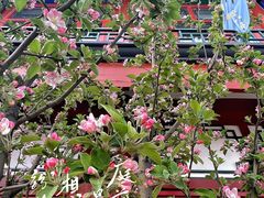 -百花深处胡同
