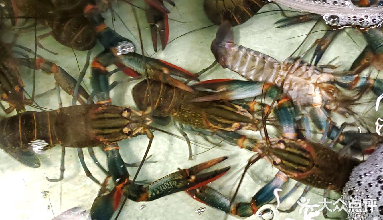 这家南宁老店的龙虾，我连汤汁都没放过😋