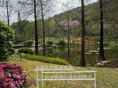 -云溪植物园