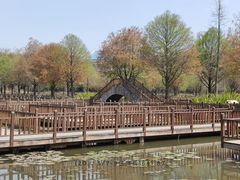 -五缘湾湿地公园