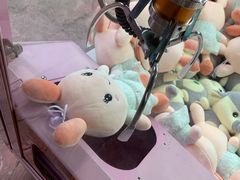 -长鹿旅游休博园