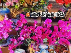 -哈尔滨道外花鸟鱼市场