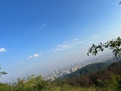 -长虫山生态公园风景林