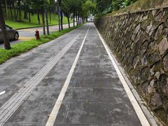 -深圳市人才园(深南大道店)