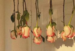 -Oasis Beauty水磨坊科技美肤中心