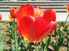 -长春公园(普阳街道)