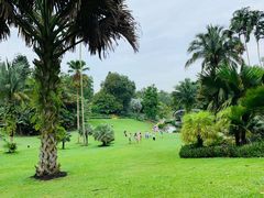 -新加坡植物园