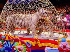 -广州长隆国际大马戏