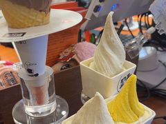-野人先生Gelato(上海长宁龙之梦店)