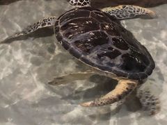 -杭州海底世界