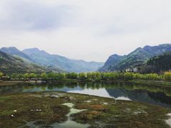 -后柳水乡