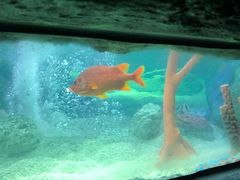 -沈阳海洋探索中心