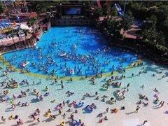 -重庆海昌加勒比海水世界