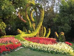 -上海植物园·停车场