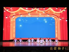 -芭蕾仙子 FairyBallet 少儿芭蕾舞蹈中心(丽都旗舰店)
