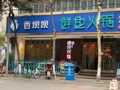 -香坝坝鲜鱼火锅(春熙路店)