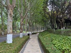 -春晖园度假酒店温泉