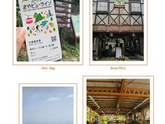 -神户市立六甲山牧场