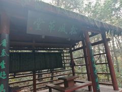 -铁山坪森林公园