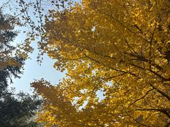 -大连理工大学(凌水校区)