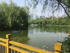 -城市运动公园(未央区)