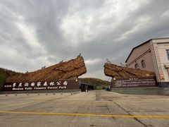 -茅兰沟国家森林公园
