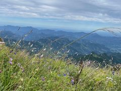 -白草畔自然风景区