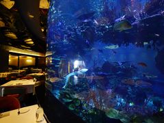 -迪拜帆船酒店海底餐厅