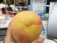 -老袁家蜜桃农场·阳山水蜜桃