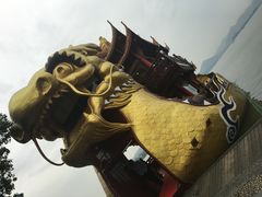 -西湖游船