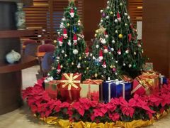 -成都世纪城假日酒店-西楼