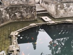 -习家池