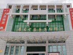 -广东中医药博物馆
